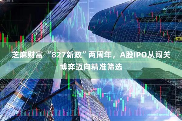 芝麻财富 “827新政”两周年，A股IPO从闯关博弈迈向精准筛选